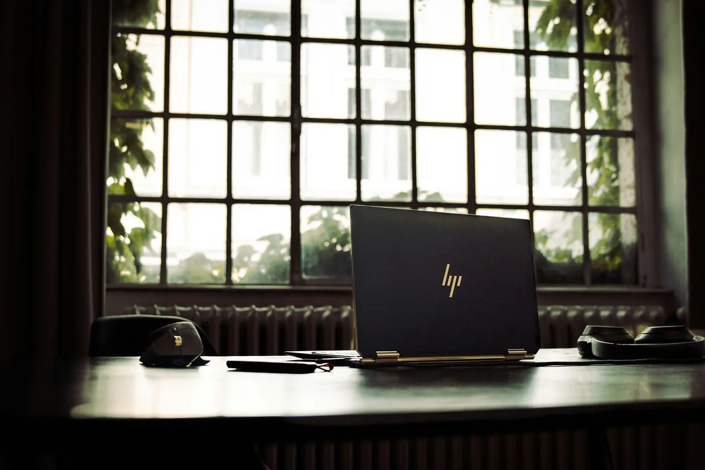 HP laptop on a desk beside green plants