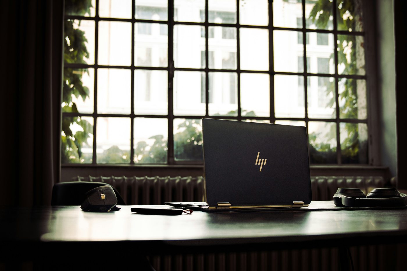 HP laptop on a desk beside green plants